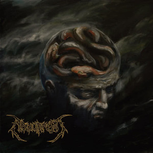ดาวน์โหลดและฟังเพลง The Elegance Of Asymmetry พร้อมเนื้อเพลงจาก Abhorrent