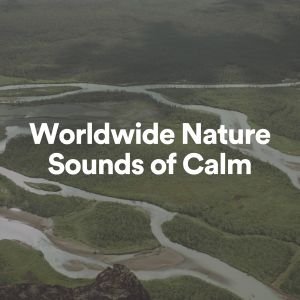 Rain Sounds的專輯Worldwide Nature Sounds of Calm