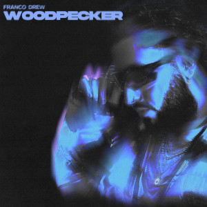 อัลบัม Woodpecker ศิลปิน Woodpecker