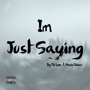 ดาวน์โหลดและฟังเพลง Im Just Sayin (Explicit) พร้อมเนื้อเพลงจาก Big Sir Loon