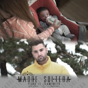 Listen to Madre Soltera song with lyrics from Pedro el Flamenkito