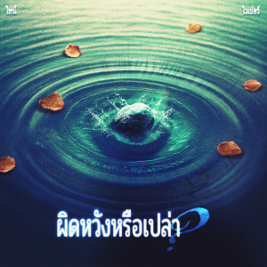 อัลบัม ผิดหวังหรือเปล่า ศิลปิน 2001Active