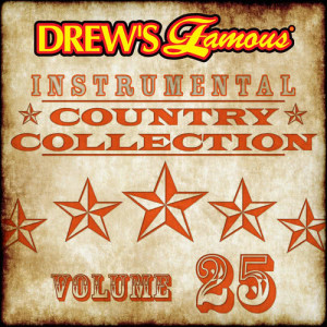 收聽The Hit Crew的D-I-V-O-R-C-E (Instrumental)歌詞歌曲