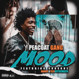 收听Peacoat Gang的Mood (Explicit)歌词歌曲