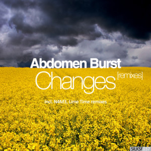 收听Abdomen Burst的Changes (Ambient Mix)歌词歌曲