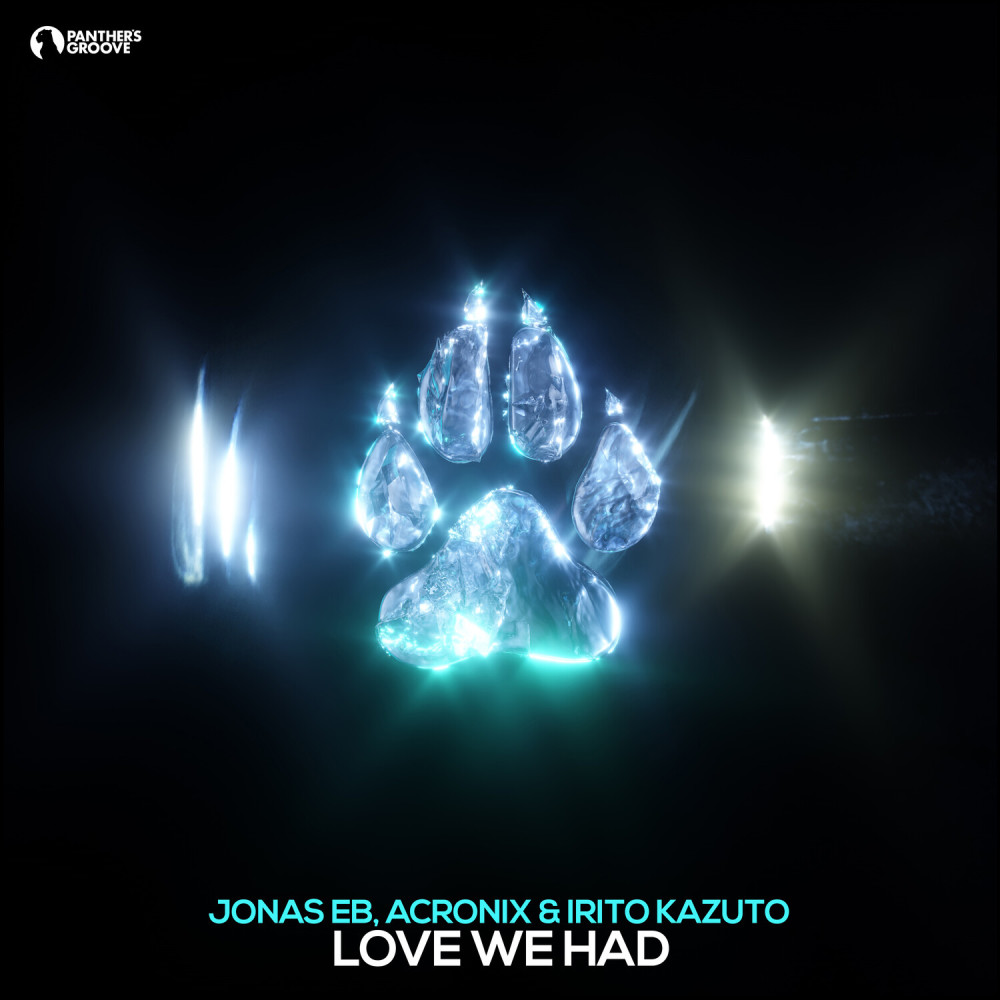 Love We Had (Original Mix)