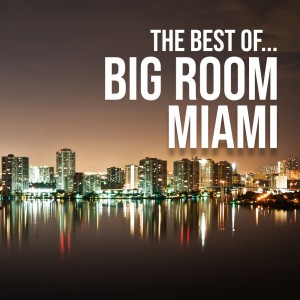 Various的專輯The Best Of... Big Room Miami