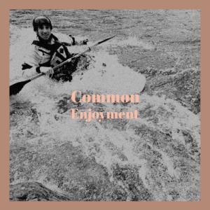 Album Common Enjoyment oleh Various