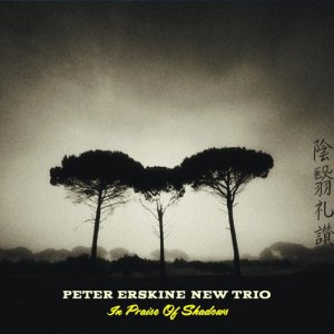 收聽Peter Erskine New Trio的Sukiyaki ("Ue Wo Muite Arko")歌詞歌曲