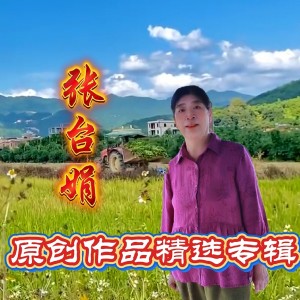 Album 张台娟原创音乐作品精选专辑 from 
