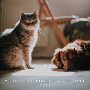 Harmony Tails: Meditative Piano for Beloved Pets