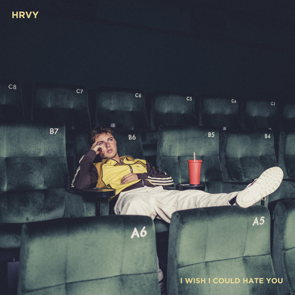 I Wish I Could Hate You (Single Version)