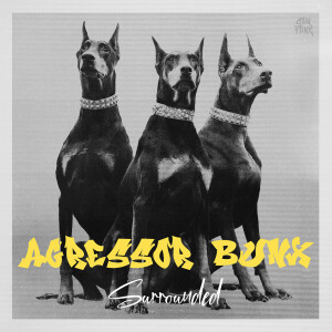 Listen to Surrounded song with lyrics from Agressor Bunx