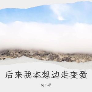 Album 后来我本想边走变爱 from 何肇祯