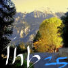 default album img
