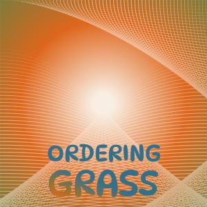 Dengarkan Ordering Grass lagu dari Coline Koli dengan lirik