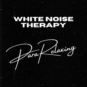 Album White Noise Therapy oleh ParaRelaxing
