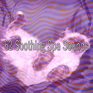 ดาวน์โหลดและฟังเพลง Extinguishing the Insomniacs Anguish พร้อมเนื้อเพลงจาก Nature Sounds Nature Music