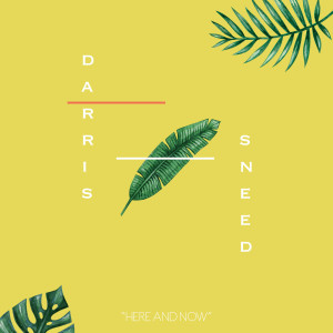 收听Darris Sneed的Here and Now歌词歌曲
