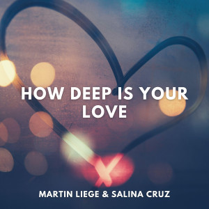 Album How Deep Is Your Love (Acoustic Guitar Version) from Martin Liege