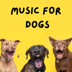 Music For Dogs Peace的專輯Music For Dogs