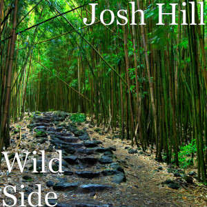 ดาวน์โหลดและฟังเพลง Wild Side (Explicit) พร้อมเนื้อเพลงจาก Josh Hill
