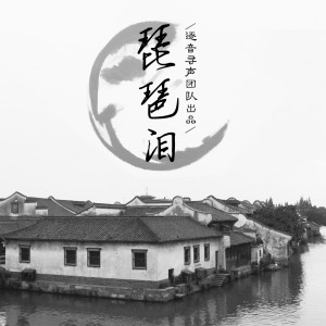 收聽辰晨的琵琶淚 (伴奏)歌詞歌曲