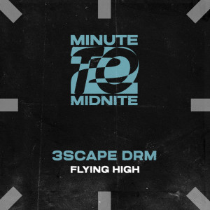 Listen to Flying High song with lyrics from 3SCAPE DRM