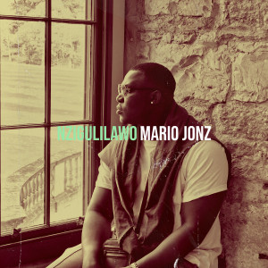 Album Nzigulilawo from mario jonz