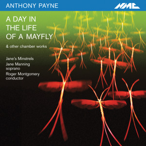 Album A Day in the Life of a Mayfly from Jane Manning