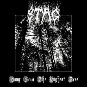 Album Hung from the Highest Tree (Explicit) from 