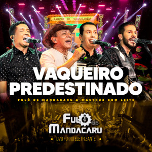 ดาวน์โหลดและฟังเพลง Vaqueiro Predestinado (Ao Vivo) พร้อมเนื้อเพลงจาก Fulô de Mandacaru