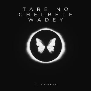 DJ Frisbee的專輯Tare No Chelbele Wadey.