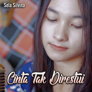 Listen to Cinta Tak Direstui song with lyrics from Sela Silvina