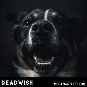 Deadwish的專輯Megaman Freedom
