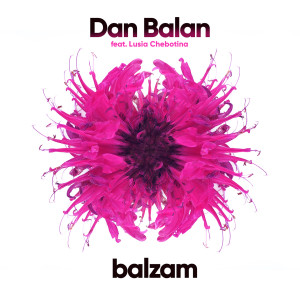 收聽Dan Balan的Balzam歌詞歌曲