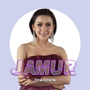 Dengarkan lagu Jamur nyanyian Cita Citata dengan lirik