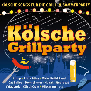 Listen to Wir steh'n auf Sommer song with lyrics from Micky Brühl Band