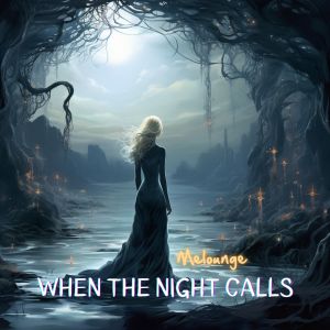 Melounge的专辑When the Night Calls