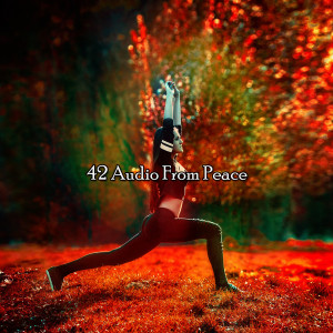 Nature Sounds Artists的專輯42 Audio From Peace