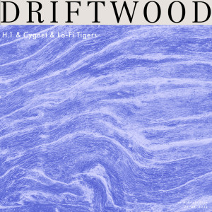 ดาวน์โหลดและฟังเพลง Driftwood พร้อมเนื้อเพลงจาก H.1