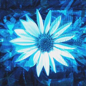 Album Azul from 