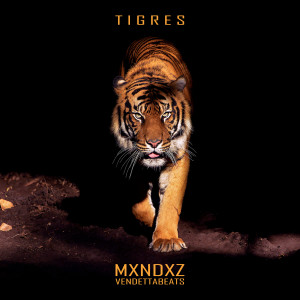 Listen to Borracho song with lyrics from Mxndxz
