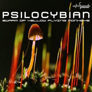 อัลบัม Swarm of Yellow Flying Monkeys - Single ศิลปิน PsiloCybian