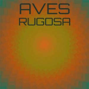 Dengarkan lagu Aves Rugosa nyanyian Deiver Kene dengan lirik