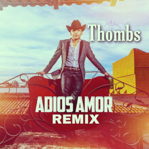 Adios Amor (Remix)