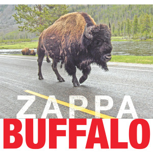 ดาวน์โหลดและฟังเพลง I'm So Cute (Live) พร้อมเนื้อเพลงจาก Frank Zappa