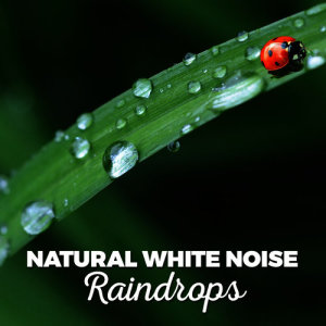 ดาวน์โหลดและฟังเพลง Raining พร้อมเนื้อเพลงจาก Sounds of Nature White Noise Sound Effects