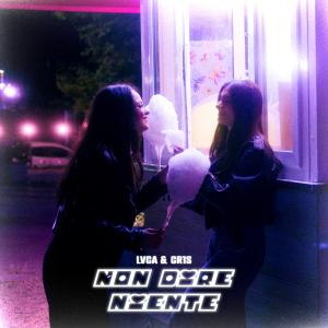 收聽Lvca的Non dire niente歌詞歌曲