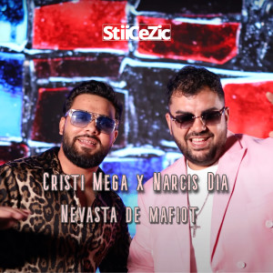 Listen to Nevasta De Mafiot song with lyrics from CRISTI MEGA